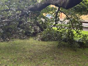 IMG-20260721-WA0004 a